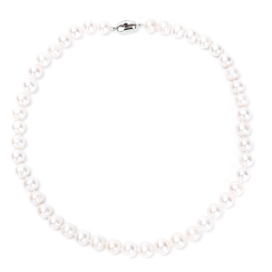 **NEW** N859